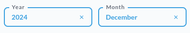 Year and month filters in the dashboard