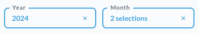Year and month filters with two months selected